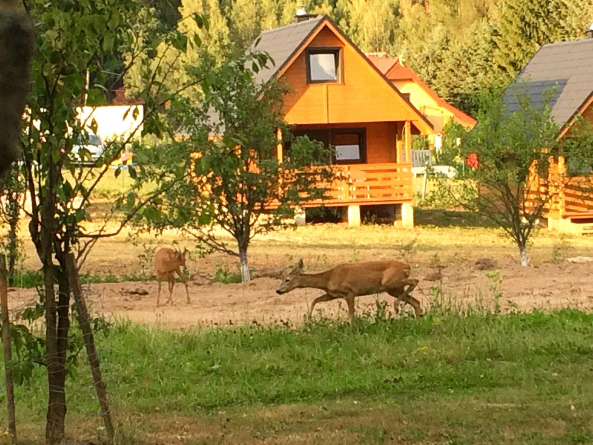 Domek Letniskowy Radków Kültér fotó